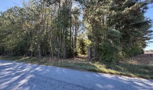 Photo #13 of Off Little Low Ground Rd, Emporia, VA 4.6 acres