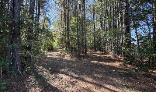 Photo #15 of Off Little Low Ground Rd, Emporia, VA 4.6 acres