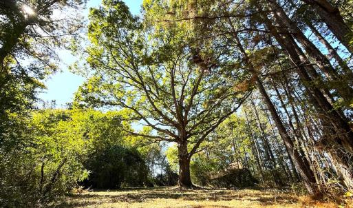 Photo #17 of Off Little Low Ground Rd, Emporia, VA 4.6 acres