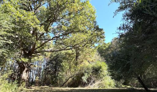Photo #21 of Off Little Low Ground Rd, Emporia, VA 4.6 acres