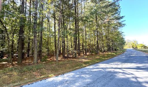 Photo #24 of Off Little Low Ground Rd, Emporia, VA 4.6 acres