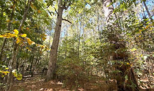 Photo #26 of Off Little Low Ground Rd, Emporia, VA 4.6 acres