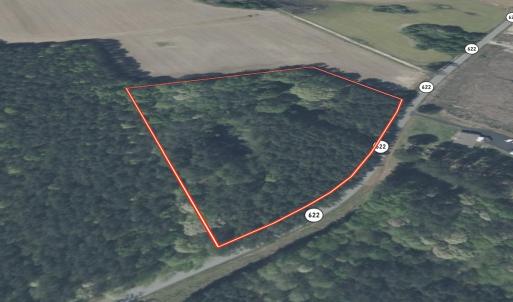 Photo #4 of Off Little Low Ground Rd, Emporia, VA 4.6 acres