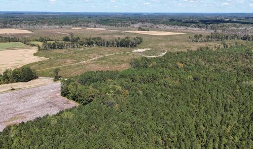 Photo #5 of Off Little Low Ground Rd, Emporia, VA 4.6 acres