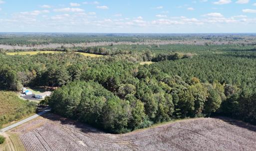 Photo #7 of Off Little Low Ground Rd, Emporia, VA 4.6 acres