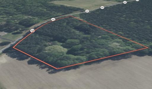 Photo #8 of Off Little Low Ground Rd, Emporia, VA 4.6 acres