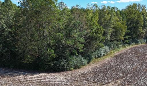 Photo #9 of Off Little Low Ground Rd, Emporia, VA 4.6 acres