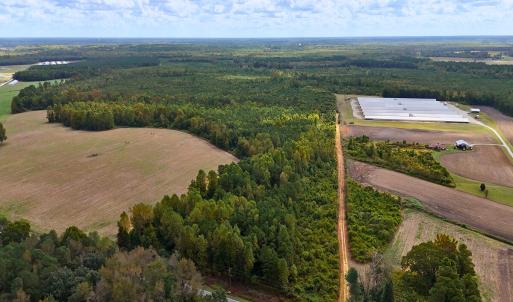 Photo #2 of Off Hwy 11 , Kenansville, NC 269.6 acres
