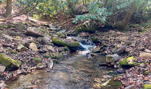 Photo #18 of 1504 Hutchison Rd. New Castle, VA, New Castle , VA 89.0 acres