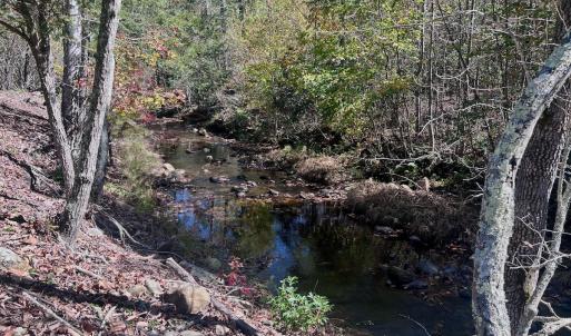 Photo #19 of 1504 Hutchison Rd. New Castle, VA, New Castle , VA 89.0 acres
