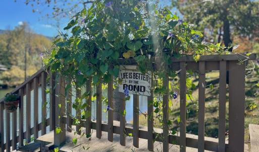 Photo #26 of 1504 Hutchison Rd. New Castle, VA, New Castle , VA 89.0 acres