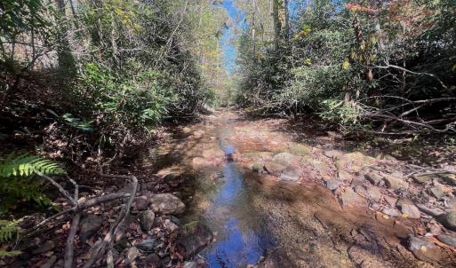 Photo #42 of 1504 Hutchison Rd. New Castle, VA, New Castle , VA 89.0 acres