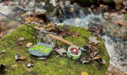 Photo #43 of 1504 Hutchison Rd. New Castle, VA, New Castle , VA 89.0 acres