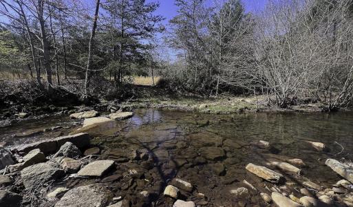 Photo #63 of 1504 Hutchison Rd. New Castle, VA, New Castle , VA 89.0 acres