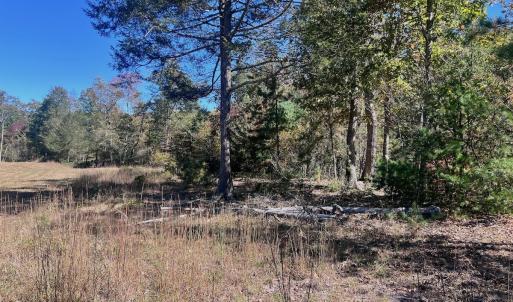 Photo #66 of 1504 Hutchison Rd. New Castle, VA, New Castle , VA 89.0 acres