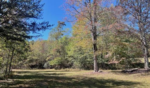 Photo #69 of 1504 Hutchison Rd. New Castle, VA, New Castle , VA 89.0 acres