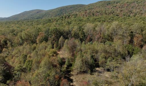 Photo #71 of 1504 Hutchison Rd. New Castle, VA, New Castle , VA 89.0 acres