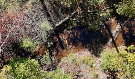 Photo #75 of 1504 Hutchison Rd. New Castle, VA, New Castle , VA 89.0 acres