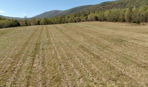 Photo #77 of 1504 Hutchison Rd. New Castle, VA, New Castle , VA 89.0 acres
