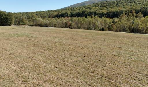 Photo #78 of 1504 Hutchison Rd. New Castle, VA, New Castle , VA 89.0 acres