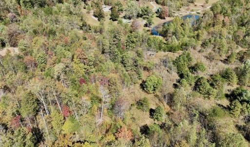 Photo #85 of 1504 Hutchison Rd. New Castle, VA, New Castle , VA 89.0 acres
