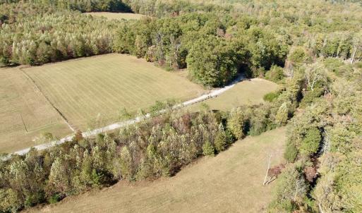 Photo #94 of 1504 Hutchison Rd. New Castle, VA, New Castle , VA 89.0 acres