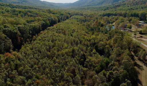 Photo #95 of 1504 Hutchison Rd. New Castle, VA, New Castle , VA 89.0 acres