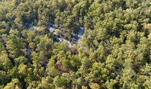 Photo #97 of 1504 Hutchison Rd. New Castle, VA, New Castle , VA 89.0 acres