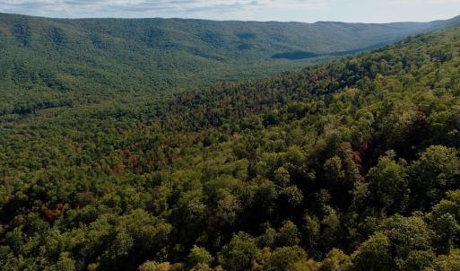 Photo #99 of 1504 Hutchison Rd. New Castle, VA, New Castle , VA 89.0 acres