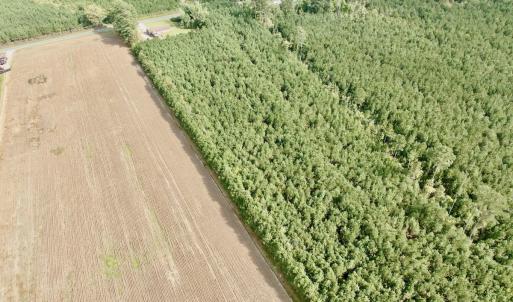 Photo #10 of Off Medical Center Road , Gates, NC 54.4 acres