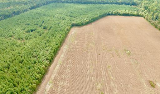 Photo #11 of Off Medical Center Road , Gates, NC 54.4 acres
