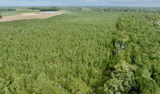 Photo #12 of Off Medical Center Road , Gates, NC 54.4 acres