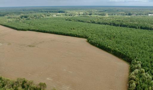 Photo #13 of Off Medical Center Road , Gates, NC 54.4 acres
