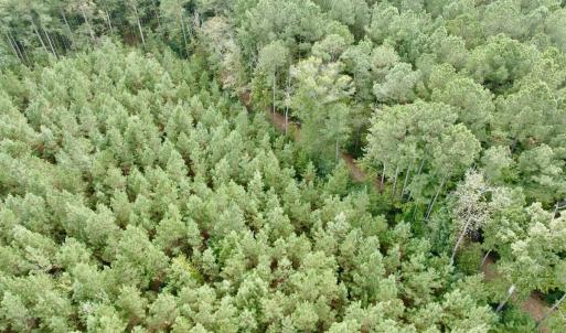 Photo #15 of Off Medical Center Road , Gates, NC 54.4 acres