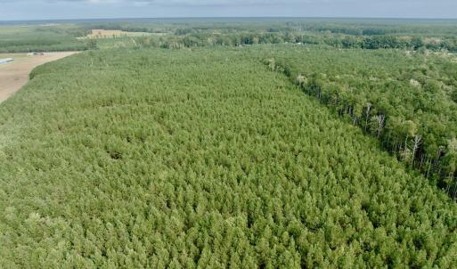 Photo #18 of Off Medical Center Road , Gates, NC 54.4 acres