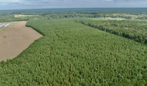 Photo #1 of Off Medical Center Road , Gates, NC 54.4 acres