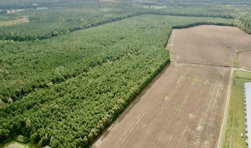 Photo #2 of Off Medical Center Road , Gates, NC 54.4 acres