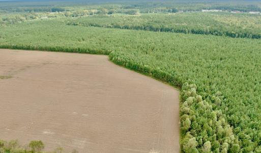 Photo #20 of Off Medical Center Road , Gates, NC 54.4 acres