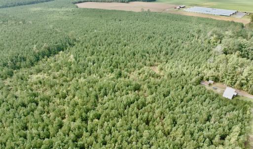 Photo #22 of Off Medical Center Road , Gates, NC 54.4 acres