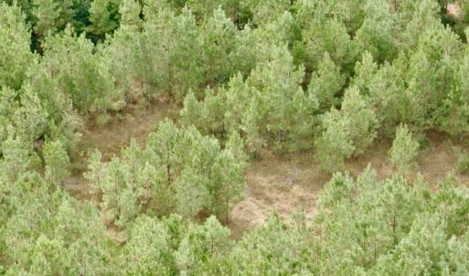 Photo #23 of Off Medical Center Road , Gates, NC 54.4 acres