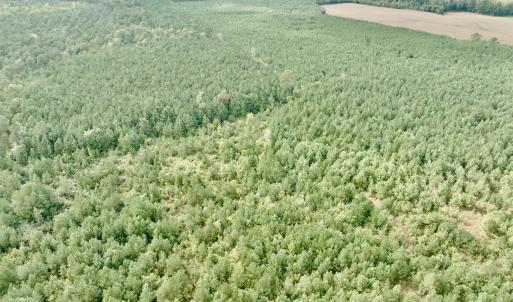 Photo #24 of Off Medical Center Road , Gates, NC 54.4 acres