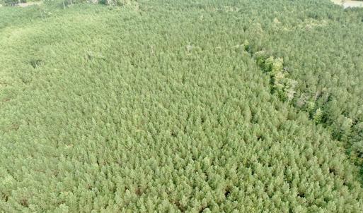 Photo #25 of Off Medical Center Road , Gates, NC 54.4 acres