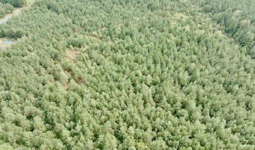 Photo #26 of Off Medical Center Road , Gates, NC 54.4 acres