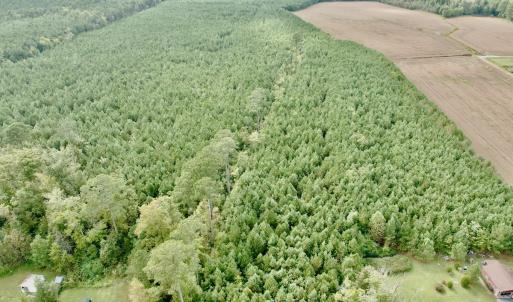 Photo #27 of Off Medical Center Road , Gates, NC 54.4 acres