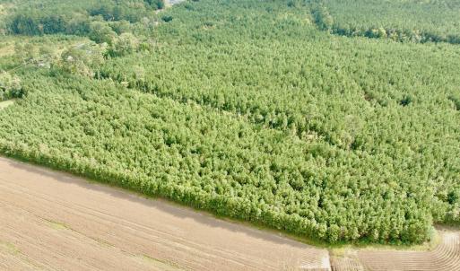 Photo #3 of Off Medical Center Road , Gates, NC 54.4 acres
