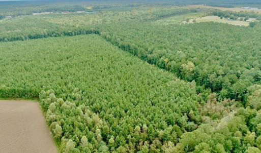 Photo #29 of Off Medical Center Road , Gates, NC 54.4 acres