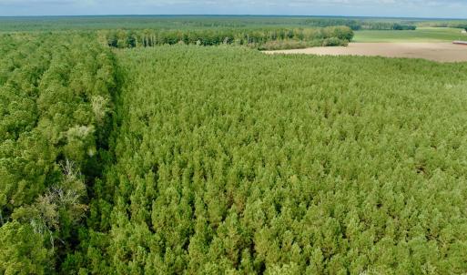 Photo #4 of Off Medical Center Road , Gates, NC 54.4 acres