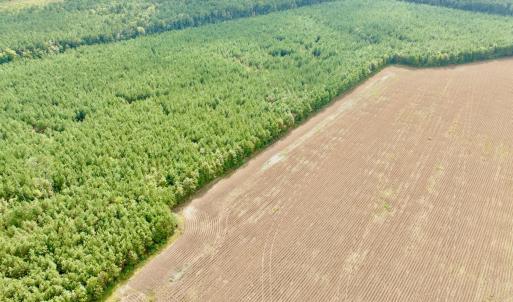 Photo #5 of Off Medical Center Road , Gates, NC 54.4 acres