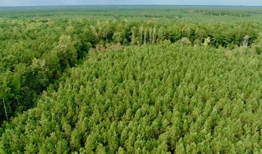 Photo #6 of Off Medical Center Road , Gates, NC 54.4 acres