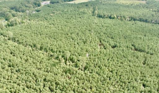 Photo #7 of Off Medical Center Road , Gates, NC 54.4 acres